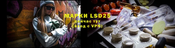 хмурый Лиски