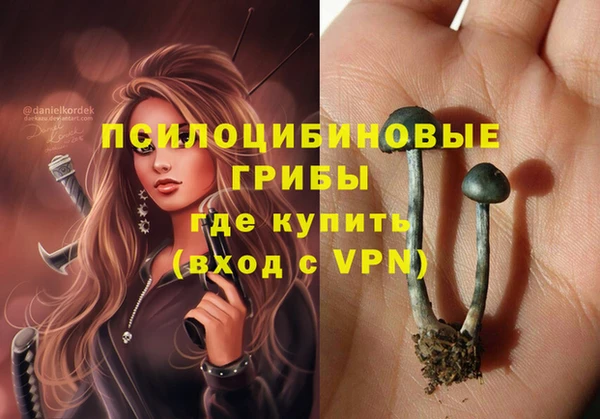 не бодяженный Магас
