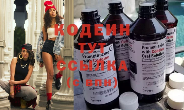 хмурый Лиски